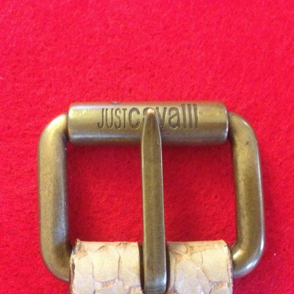 Roberto Cavalli Just Cavalli Python Tan Leather Belt Antique Brass Hardware main image 4